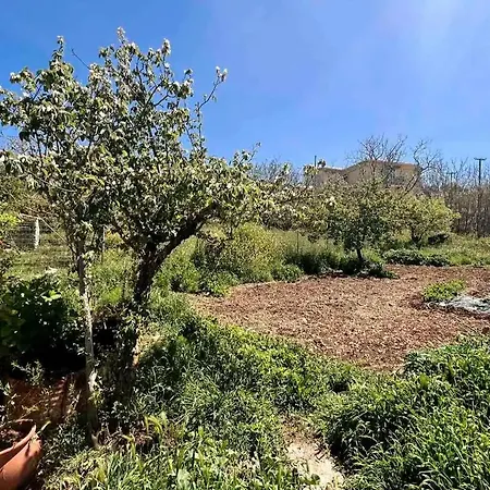 Traditional House With Fresh Vegetables Garden Holiday home Pigadhakia