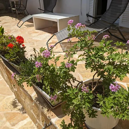 Traditional House With Fresh Vegetables Garden * Pigadhakia